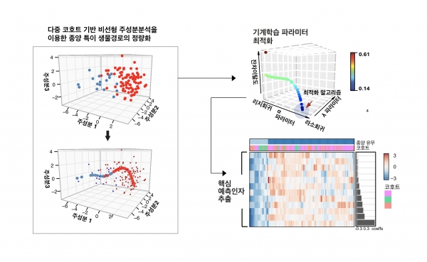 개발된 메타분석 기반 기계학습 알고리즘의 도식. 출처: 한국연구재단