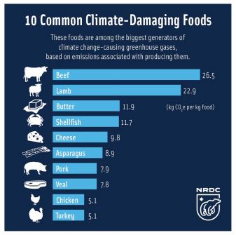 기후에 악영향 미치는 음식 10. 출처: NRDC
