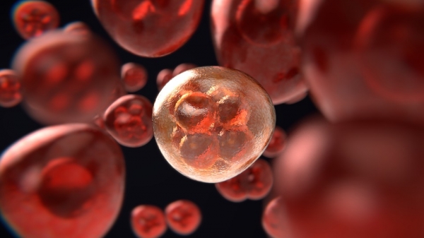 과학자들이 무한증식하는 암세포를 효과적으로 죽일 방법을 찾아냈다. 출처: pixabay