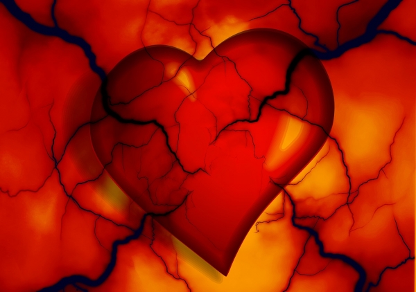 혈관이, 심장이 위험해! 출처: pixabay