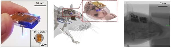 개발된 뇌 이식용 무선 디바이스. (좌) 무선 디바이스의 사진. LED 탐침이 쥐의 뇌에 삽입된 상태에서, 쥐의 두피 안에 완전히 이식된 디바이스의 개념도 (중) 및 X-ray 사진 (우). 출처: KAIST