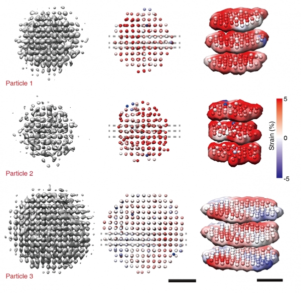 3D 싱글 알고리즘을 활용해 얻은 백금 나노입자의 3차원 구조. 출처: IBS
