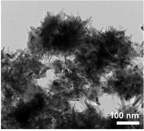 염기성 물질이 첨가된 성게 형태의 나노 구리 촉매 전극의 전자 현미경(TEM) 사진. 출처: KIST