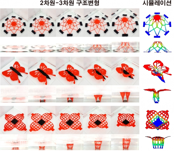 2차원-3차원 구조변형 과정과 시뮬레이션을 통한 구조예측. 출처: 서울대학교