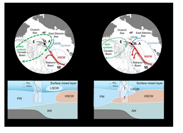축치해 북서부 해역 표층 영양염 공급 기작. 출처: 극지연구소