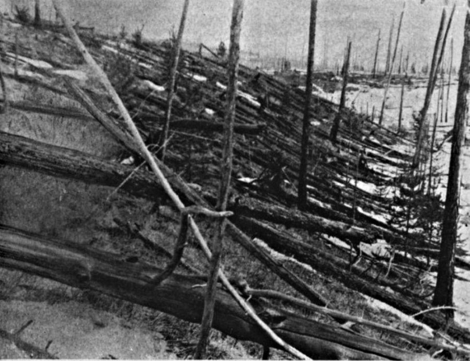 퉁구스카 유성체 폭발 사건으로 인한 산림 피해. 출처: Wikimedia Commons
