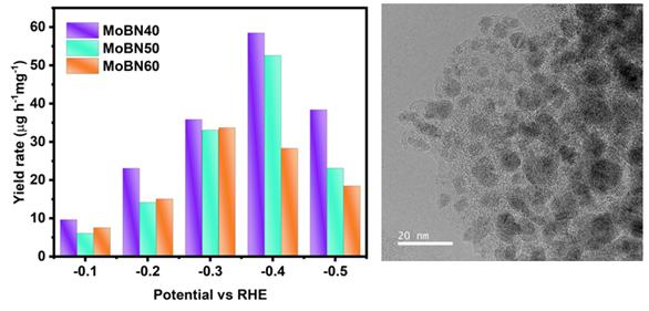 γ-Mo2N/BN의 전기 촉매 NRR 표(좌)와 암모니아 합성에 이용된 촉매의 투과 전자현미경(TEM) 사진(우). 출처: DGIST