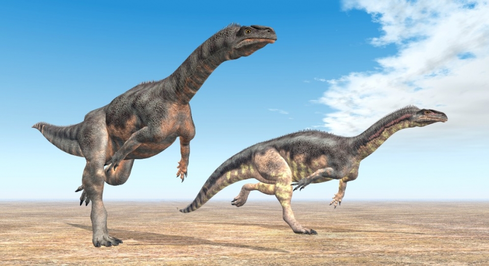 두 마리의 플라테오사우루스(Plateosaurus) . 출처: University of Copenhagen