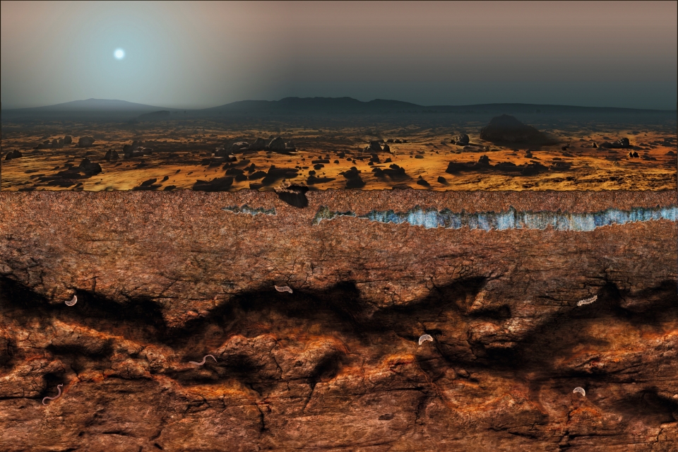 아타카마 대형 밀리미터 집합체 (ALMA)로 본 금성
