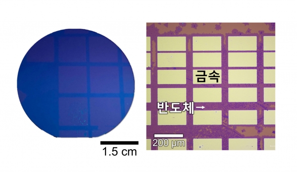 실리콘 웨이퍼에 새로 개발한 2차원 금속-반도체 소자를 패터닝한 이미지. 출처 : UNIST