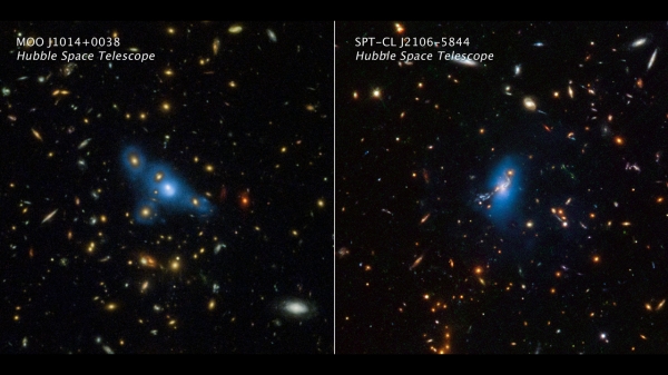 허블우주망원경으로 관측한 은하단내광 사진. 왼쪽은 85억 년 전 과거 우주에서 발견된 MOO1014 은하단, 오른쪽은 82억 년 전 과거 우주에서 발견된 SPT2106 은하단을 보여준다. 그림에서 오렌지 색깔로 보이는 수백 개의 천체들은 은하단을 구성하는 개별 은하들이고 푸른색으로 나타낸 것이 은하단내광이다. 이 은하단내광의 밝기는 은하단 전체 밝기의 약 17%를 차지한다. 지금까지는 주류 이론에서는 이처럼 먼 과거의 우주에서는 은하단내광이 아직 만들어지기 전이라 믿어 왔으나 본 관측 연구로 은하단내광의 기존 생성 이론이 크게 수정돼야 함을 밝혔다. 또한 이처럼 초기 은하단에서 은하단내광이 풍부하다는 사실은 이들이 보이지 않는 암흑물질의 ‘보이는 추적자’로 사용될 수 있음을 시사한다. 출처 : 연세대학교