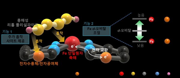 Fe 원자 주변에 전자공여체와 전자수용체 도입을 통한 전자교환 현상 유도 전략 모식도. Fe 원자 주변의 전자공여체 및 전자수용체는 반응 중간생성물인 리튬 폴리설파이드가 직접적으로 흡착할 수 있는 site이기도 하면서, Fe 원자의 전자구조를 제어하는 역할을 한다. 출처 : KAIST